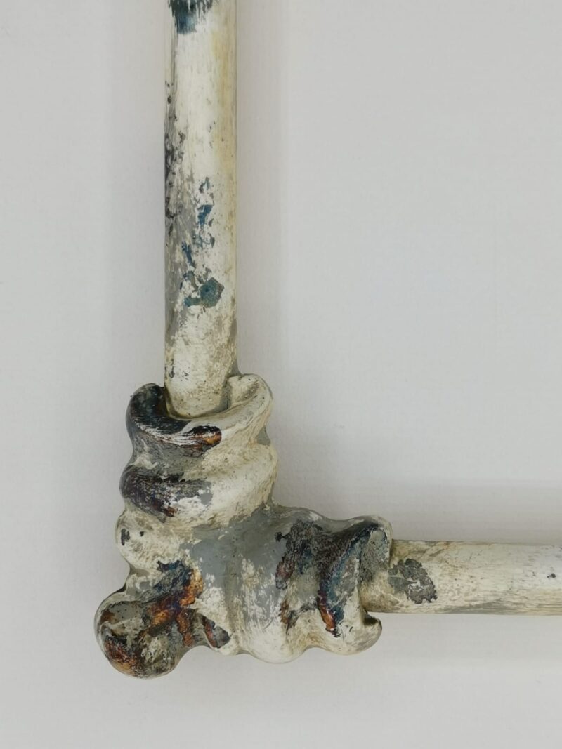 354-3 + foglia